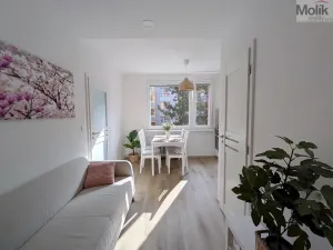 Pronájem bytu 2+kk, Duchcov, V Domkách, 36 m2