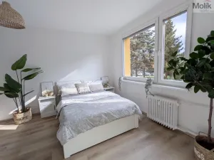 Pronájem bytu 2+kk, Duchcov, V Domkách, 36 m2