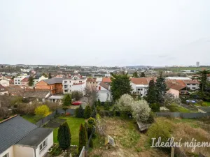 Pronájem bytu 2+1, Brno - Královo Pole, Palackého třída, 60 m2