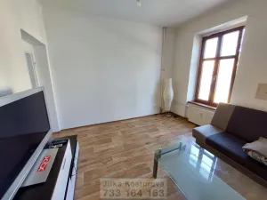 Pronájem bytu 1+1, Krnov - Pod Bezručovým vrchem, Revoluční, 32 m2