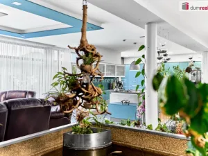 Prodej rodinného domu, Děčín - Děčín XXXIII-Nebočady, Vítězství, 296 m2