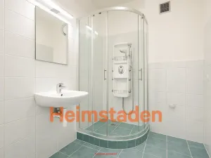 Pronájem bytu 2+1, Havířov - Město, U Lesa, 55 m2