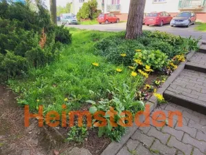 Pronájem bytu 2+1, Stonava, Hořany, 65 m2