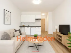 Pronájem bytu 1+kk, Frýdek-Místek - Frýdek, Nad Mostárnou, 21 m2