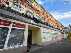 Prodej bytu 3+1, Most, Petra Jilemnického, 75 m2