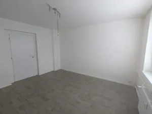 Pronájem bytu 2+1, Ústí nad Labem - Střekov, Pionýrů, 65 m2