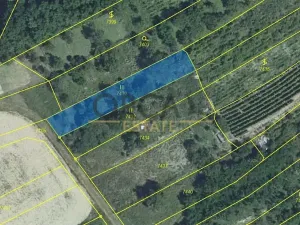 Prodej sadu/vinice, Velké Němčice, 2803 m2