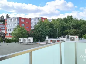 Pronájem bytu 3+1, Brno, Vinohrady, 116 m2