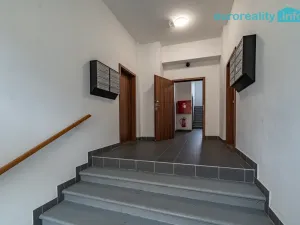 Pronájem bytu 3+kk, Luby, Revoluční, 58 m2