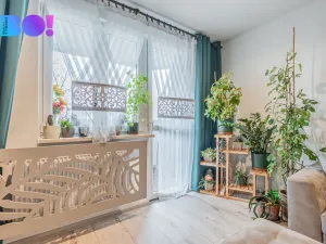 Prodej bytu 2+1, Karviná, Olbrachtova, 60 m2