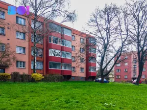 Prodej bytu 2+1, Karviná, Olbrachtova, 60 m2