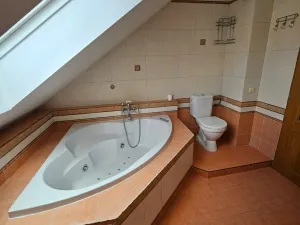 Pronájem bytu 3+kk, České Budějovice, Rudolfovská tř., 95 m2