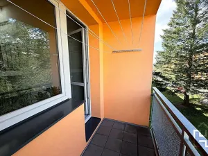 Prodej bytu 1+1, Jihlava, Královský vršek, 34 m2