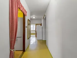 Pronájem bytu 3+1, Tachov, Petra Jilemnického, 73 m2