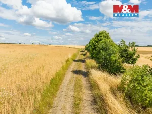 Prodej pole, Praha - Cholupice, 7344 m2