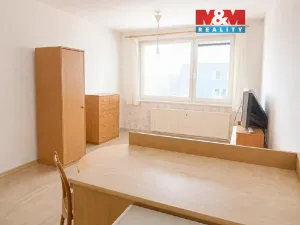 Pronájem bytu 1+kk, Strakonice - Strakonice I, Mlýnská, 26 m2