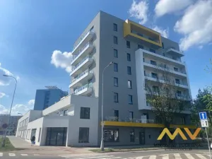 Pronájem garážového stání, Hradec Králové - Slezské Předměstí, Kubelíkova, 12 m2