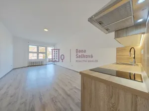 Pronájem bytu 1+kk, Jindřichův Hradec - Jindřichův Hradec II, Nádražní, 43 m2