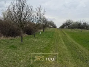 Prodej pozemku, Hroznová Lhota, 2997 m2