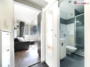 Prodej bytu 1+1, České Budějovice - České Budějovice 7, Lidická tř., 39 m2