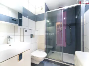 Prodej bytu 1+1, České Budějovice - České Budějovice 7, Lidická tř., 39 m2