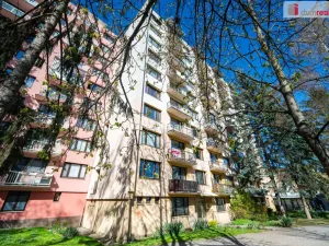 Prodej bytu 1+1, České Budějovice - České Budějovice 7, Lidická tř., 39 m2