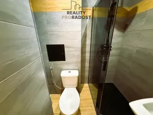 Pronájem bytu 1+kk, Havířov, Emila Holuba, 29 m2