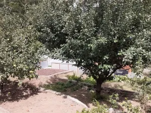 Prodej zahrady, Klášterec nad Ohří - Mikulovice, 302 m2