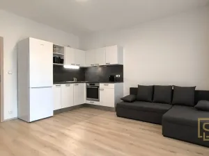 Pronájem bytu 1+kk, Brno - Židenice, Gajdošova, 26 m2