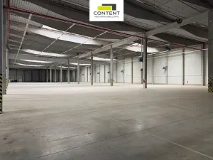 Pronájem výrobních prostor, Bor - Nová Hospoda, 32693 m2