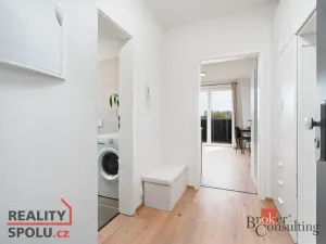 Pronájem bytu 1+kk, Heřmanova Huť - Vlkýš, U Pondu, 35 m2