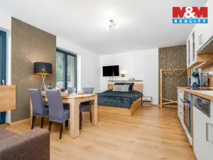 Pronájem bytu 1+kk, Vrchlabí - Hořejší Vrchlabí, Horská, 44 m2