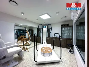 Prodej obchodního prostoru, Praha - Smíchov, Kobrova, 276 m2