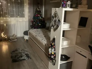 Prodej bytu 4+1, Nový Jičín, Riegrova, 82 m2