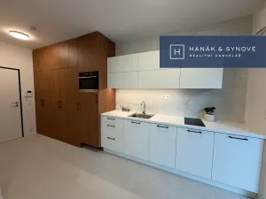 Pronájem bytu 1+kk, Brno, Koliště, 23 m2