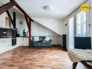 Pronájem bytu 1+kk, Jihlava, Husova, 40 m2