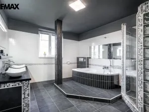 Prodej rodinného domu, Stanovice, 443 m2