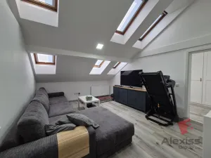Pronájem atypického bytu, Praha - Nusle, Sinkulova, 85 m2