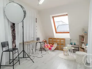 Pronájem kanceláře, Ostrava - Přívoz, Libušina, 45 m2