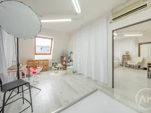 Pronájem kanceláře, Ostrava - Přívoz, Libušina, 45 m2