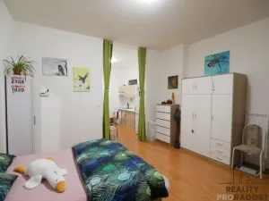 Pronájem bytu 1+kk, Hradec Králové, Malé náměstí, 42 m2
