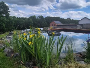 Prodej chalupy, Adamov, 98 m2