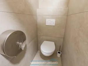 Pronájem atypického bytu, Hrušovany nad Jevišovkou, Cukrovarská, 10 m2