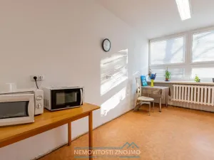 Pronájem atypického bytu, Hrušovany nad Jevišovkou, Cukrovarská, 10 m2