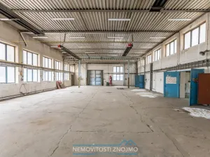 Prodej výrobních prostor, Hrušovany nad Jevišovkou, Rudé armády, 12000 m2