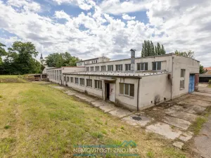 Prodej výrobních prostor, Hrušovany nad Jevišovkou, Rudé armády, 12000 m2