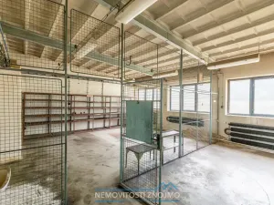 Prodej výrobních prostor, Hrušovany nad Jevišovkou, Rudé armády, 12000 m2