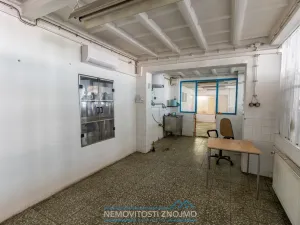 Prodej výrobních prostor, Hrušovany nad Jevišovkou, Rudé armády, 12000 m2