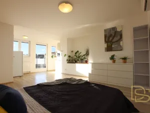 Pronájem bytu 2+kk, Brno - Veveří, Veveří, 48 m2