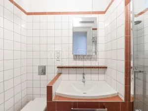 Pronájem bytu 1+1, Praha - Smíchov, Lidická, 43 m2